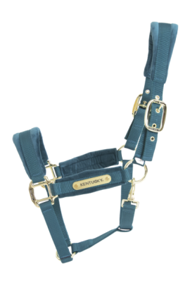 Velvet Halter Kentucky