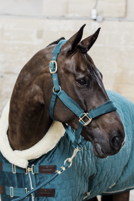 Velvet Halster Kentucky Velvet Halster Kentucky
