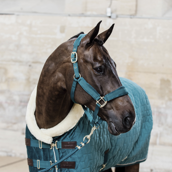 Velvet Halster Kentucky Velvet Halster Kentucky