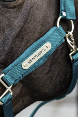 Velvet Halster Kentucky Velvet Halster Kentucky