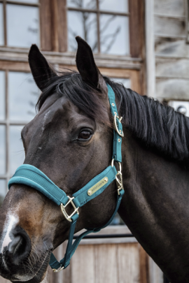 Velvet Halster Kentucky Velvet Halster Kentucky