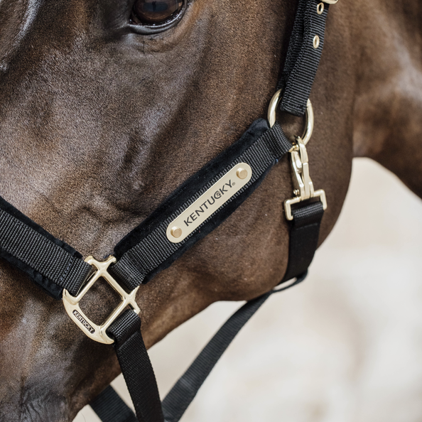 Velvet Halster Kentucky Velvet Halster Kentucky