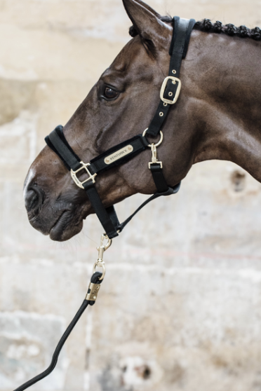 Velvet Halster Kentucky Velvet Halster Kentucky