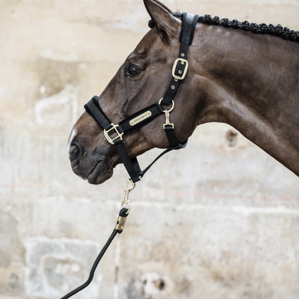 Velvet Halster Kentucky Velvet Halster Kentucky