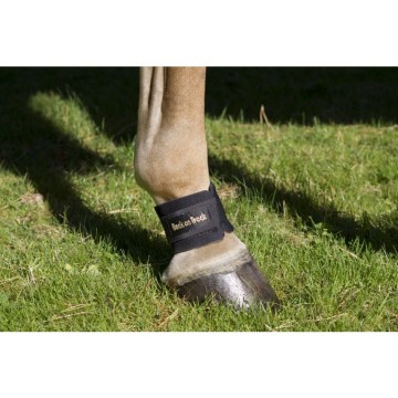 Back on Track Pastern Wrap