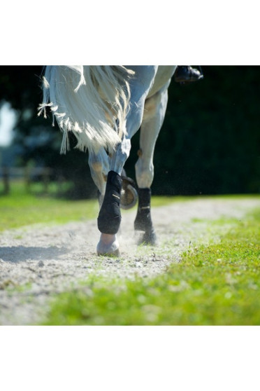 Back on Track Peesbeschermer Achterbeen Back on Track Peesbeschermer Achterbeen