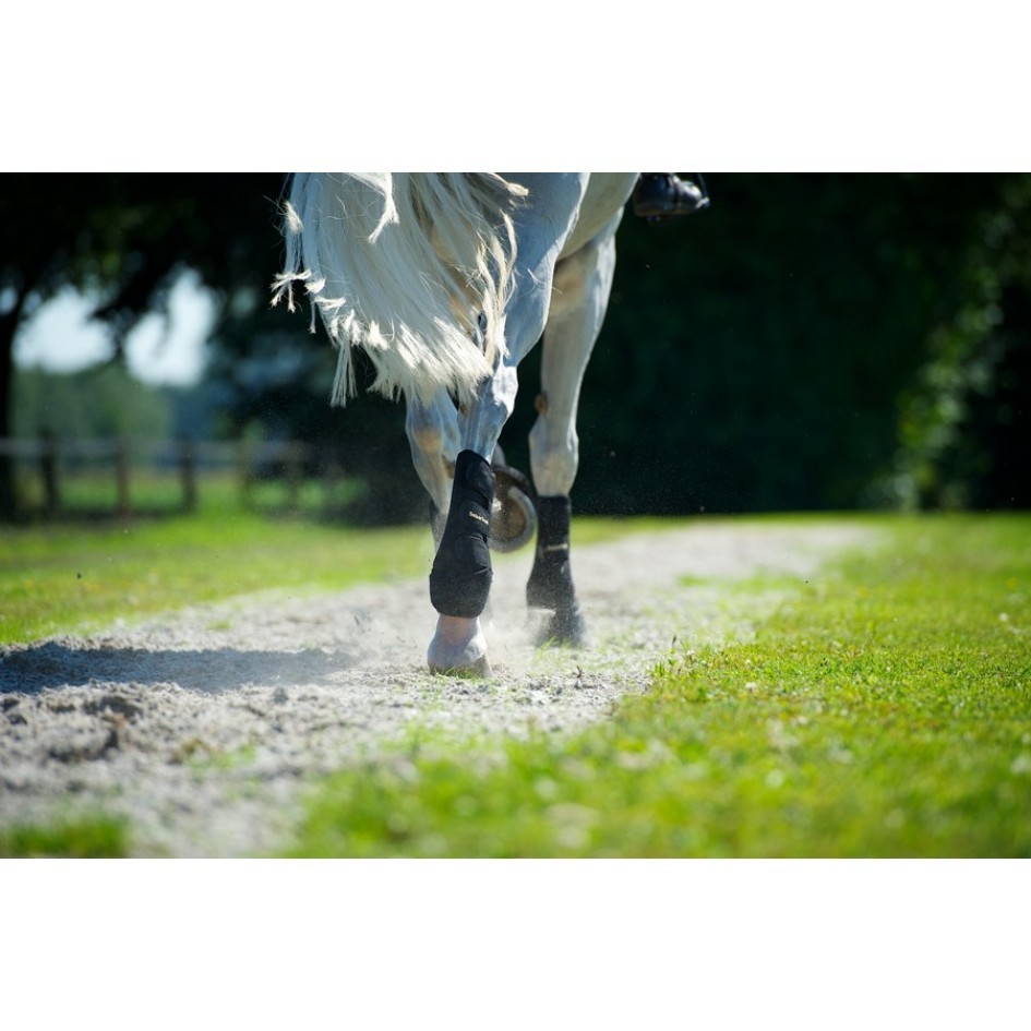 Back on Track Peesbeschermer Achterbeen Back on Track Peesbeschermer Achterbeen