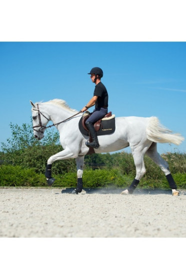 Back on Track Peesbeschermer Voorbeen Back on Track Peesbeschermer Voorbeen
