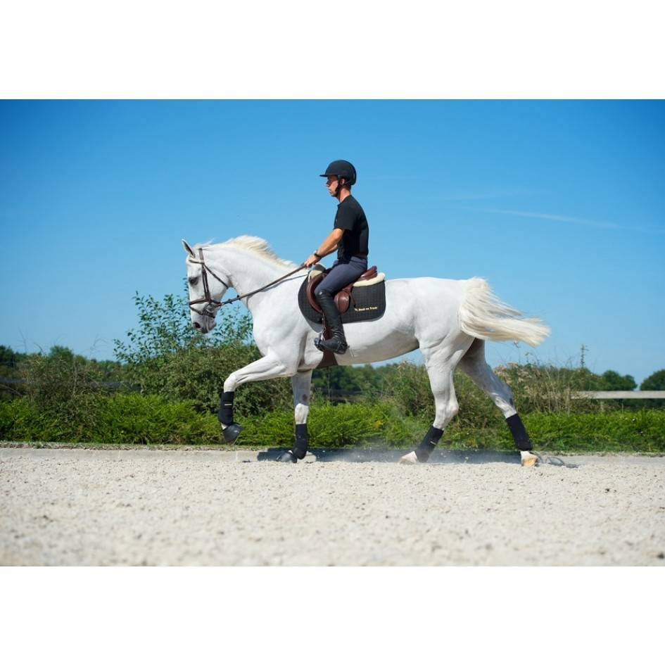 Back on Track Peesbeschermer Voorbeen Back on Track Peesbeschermer Voorbeen