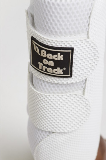 Back on Track Brush Boot 3D Mesh Back on Track Brush Boot 3D Mesh