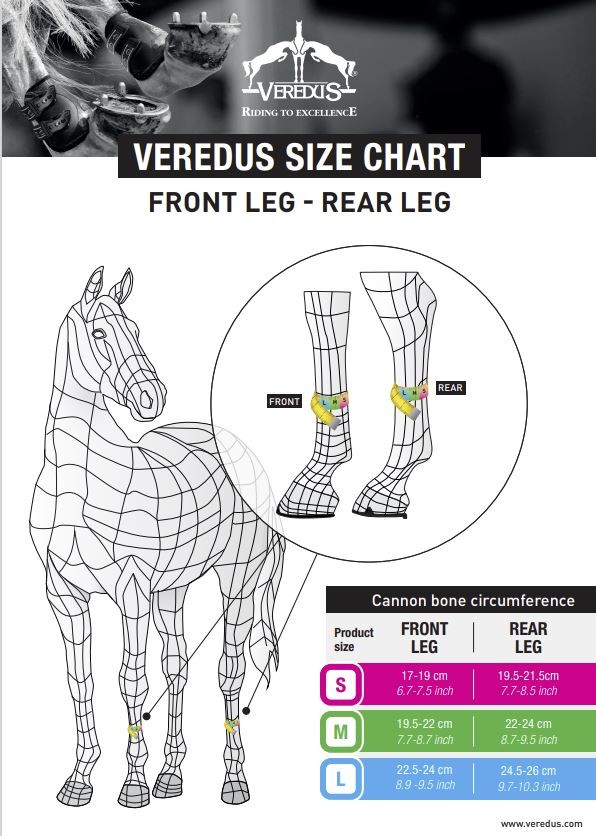 Veredus Olympus Absolute Rear Veredus Olympus Absolute Rear