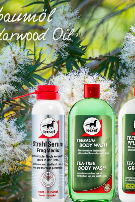 Leovet Frog Medic Spray buy? - available Leovet Frog Medic Spray buy? - available