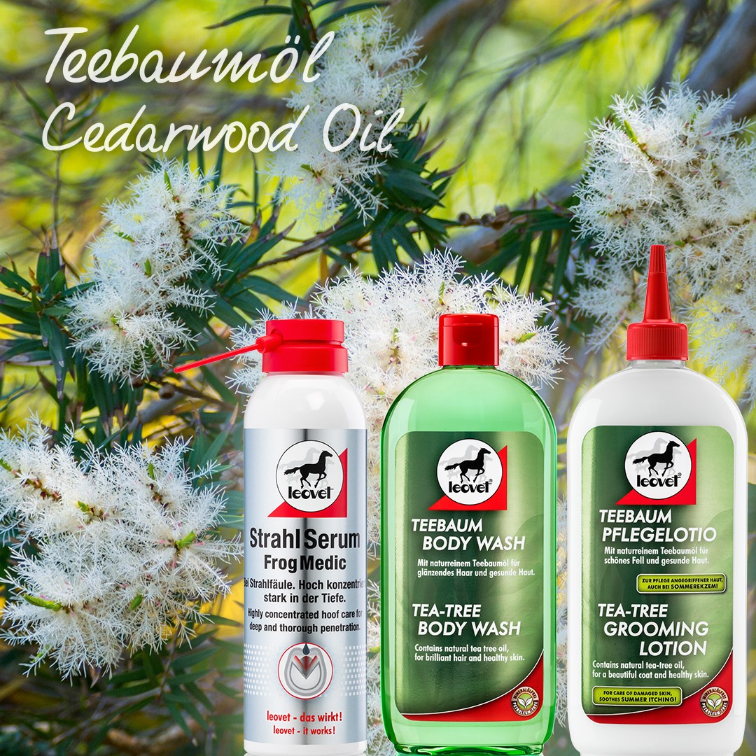 Leovet T-baum Shampoo 500ml, met theeboomolie voor een gezonde vacht. Leovet T-baum Shampoo 500ml, met theeboomolie voor een gezonde vacht.