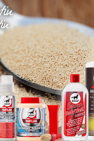 Leovet 5 Sterren Body Shampoo 500ml Leovet 5 Sterren Body Shampoo 500ml