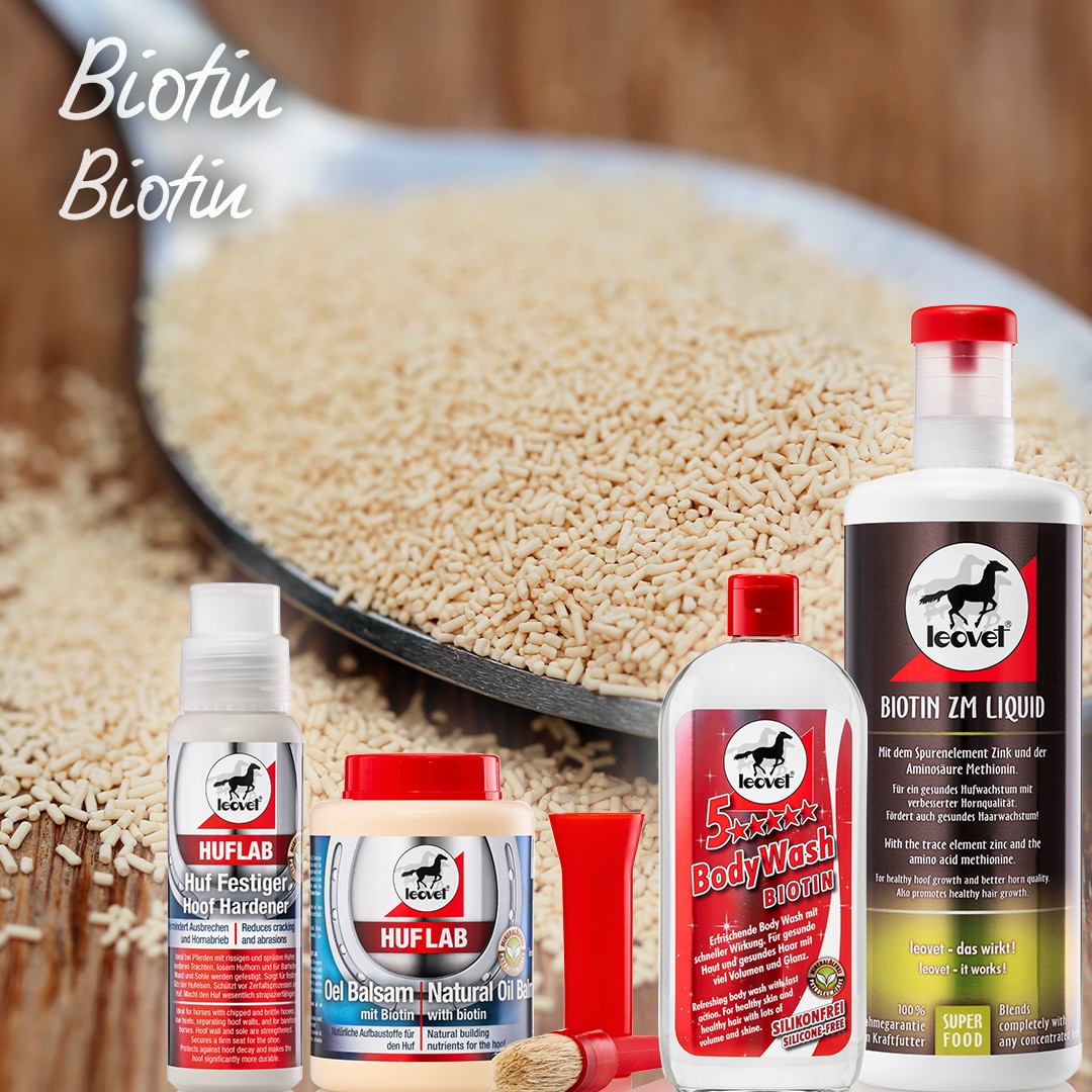 Leovet 5 Sterren Body Shampoo 500ml Leovet 5 Sterren Body Shampoo 500ml