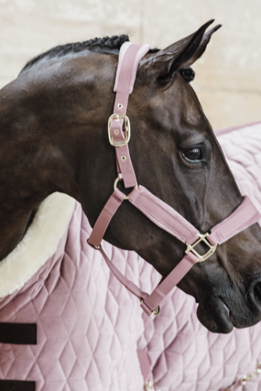Kentucky Horsewear Show Rug Velvet 160G Old Pink Kentucky Horsewear Show Rug Velvet 160G Old Pink