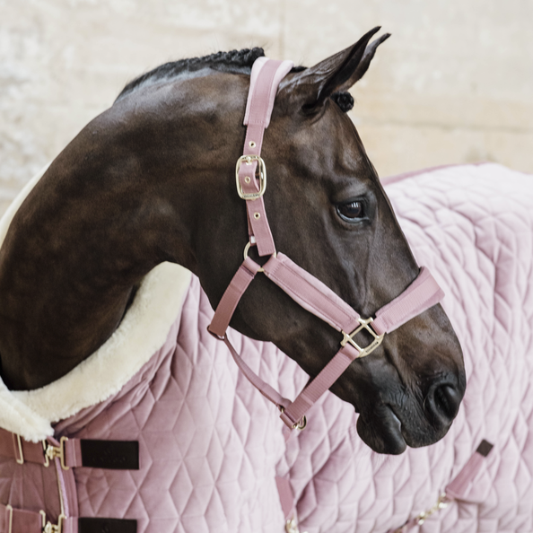 Kentucky Horsewear Show Rug Velvet 160G Old Pink Kentucky Horsewear Show Rug Velvet 160G Old Pink