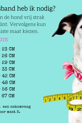 DWAM Teddy Leren honden riem Met wollige binnenvoering DWAM Teddy Leren honden riem Met wollige binnenvoering