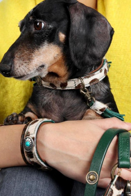 DWAM Ivy Halsband Met Armbandje , in een prachtige print van tijgerpatroon. DWAM Ivy Halsband Met Armbandje , in een prachtige print van tijgerpatroon.