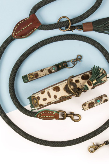DWAM Ivy Dog Collar With Bracelet, with the nice wild print. go in STYLE DWAM Ivy Dog Collar With Bracelet, with the nice wild print. go in STYLE