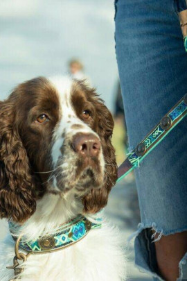 DWAM Boho Juan Leather Leash 135cm Blue, For taking a walk with your dog. DWAM Boho Juan Leather Leash 135cm Blue, For taking a walk with your dog.