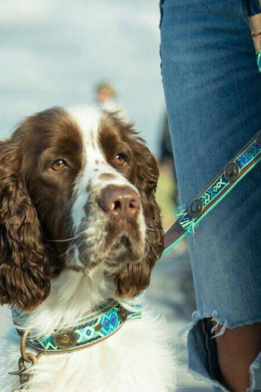 DWAM Boho Juan Leather Leash 135cm Blue, For taking a walk with your dog. DWAM Boho Juan Leather Leash 135cm Blue, For taking a walk with your dog.