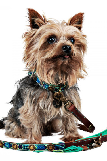 DWAM Boho Juan Leather Leash 135cm Blue, For taking a walk with your dog. DWAM Boho Juan Leather Leash 135cm Blue, For taking a walk with your dog.