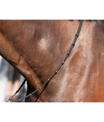 QHP Tranings Bridle