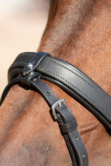 Anatomisch gevormd tranings hoofdstel, van het merk QH, Ideaal met klipjes Anatomisch gevormd tranings hoofdstel, van het merk QH, Ideaal met klipjes