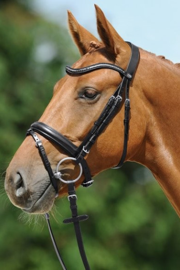 Passier Hoofdstel Juno Zilver kopen? - verkrijgbaar Passier Hoofdstel Juno Zilver kopen? - verkrijgbaar