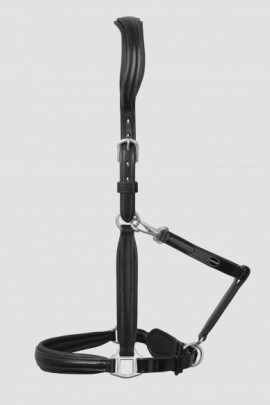 PASSIER Leather Halter, Avaible in the colors brown and black. With Stainless Steel Fittings