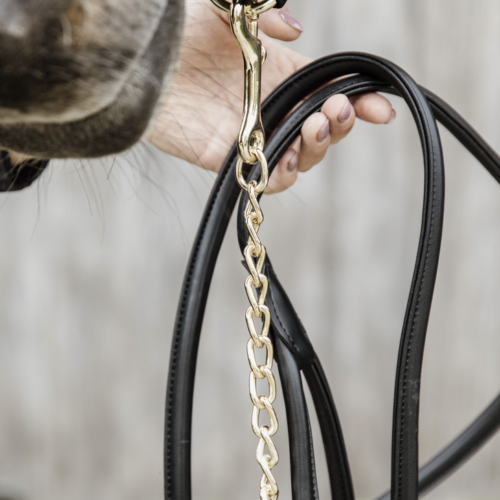 Leather Chain Lead 270cm Black Leather Chain Lead 270cm Black