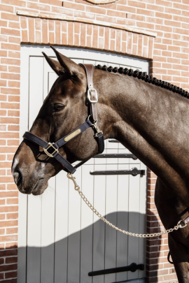 Leren lijn met ketting 270cm Bruin, hengstenketting Leren lijn met ketting 270cm Bruin, hengstenketting