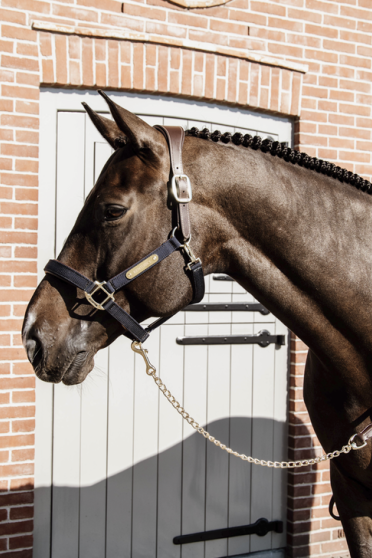 Leren lijn met ketting 270cm Bruin, hengstenketting Leren lijn met ketting 270cm Bruin, hengstenketting