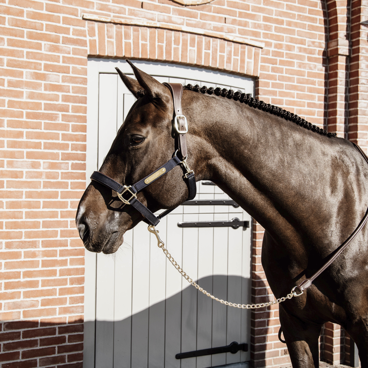 Leren lijn met ketting 270cm Bruin, hengstenketting Leren lijn met ketting 270cm Bruin, hengstenketting