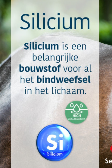 Ridershouse, Sectolin Silicium Paard 1 Liter voor sterke botten,pezen en gewrichten Ridershouse, Sectolin Silicium Paard 1 Liter voor sterke botten,pezen en gewrichten