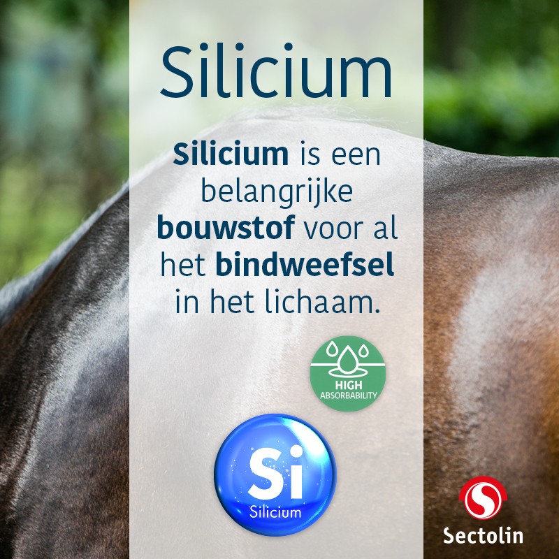 Ridershouse, Sectolin Silicium Paard 1 Liter voor sterke botten,pezen en gewrichten Ridershouse, Sectolin Silicium Paard 1 Liter voor sterke botten,pezen en gewrichten