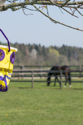 Ridershouse, Qhp Vliegenval Tegen Insecten zodat uw paarden rustig in de wei kunnen staan.