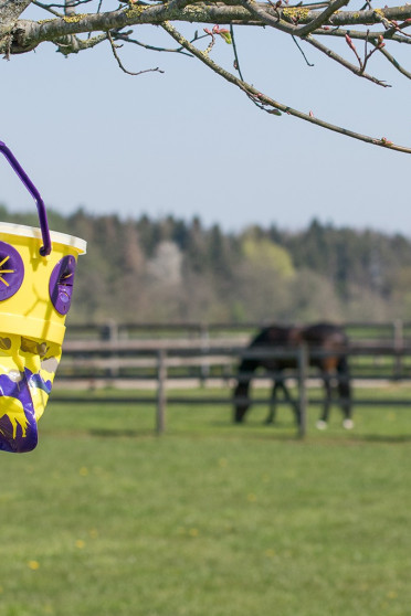 Ridershouse, Qhp Vliegenval Tegen Insecten zodat uw paarden rustig in de wei kunnen staan. Ridershouse, Qhp Vliegenval Tegen Insecten zodat uw paarden rustig in de wei kunnen staan.