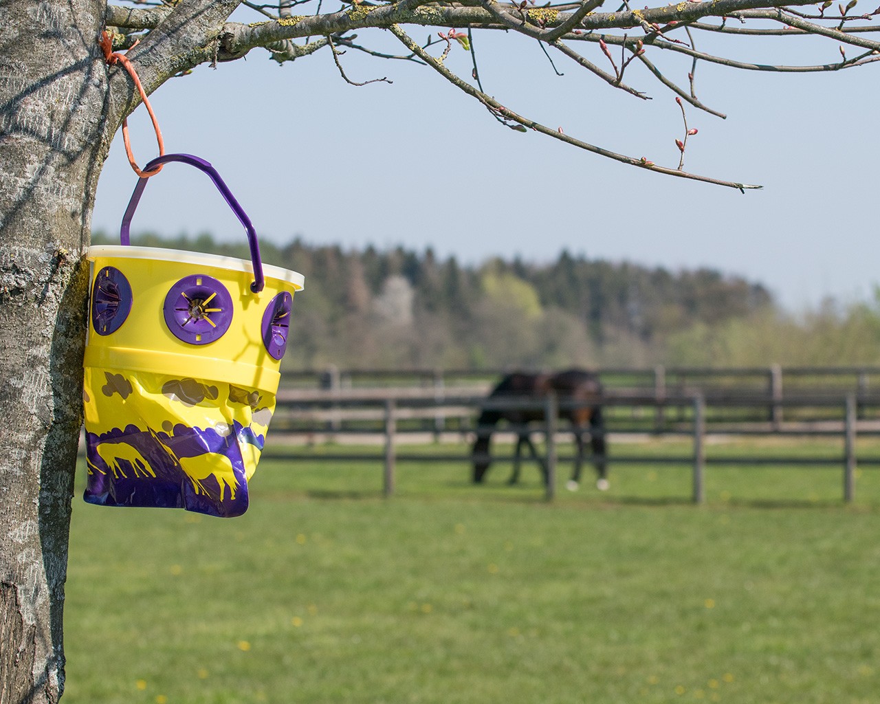 Ridershouse, Qhp Vliegenval Tegen Insecten zodat uw paarden rustig in de wei kunnen staan. Ridershouse, Qhp Vliegenval Tegen Insecten zodat uw paarden rustig in de wei kunnen staan.