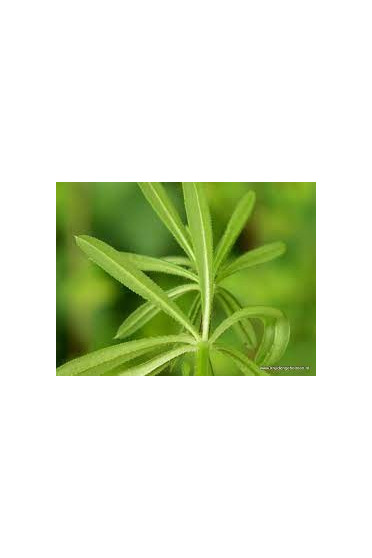 Sectolin Cleavers Horse 700 Gram Cleavers is used to support, among other things, good blood purificatio Sectolin Cleavers Horse 700 Gram Cleavers is used to support, among other things, good blood purificatio