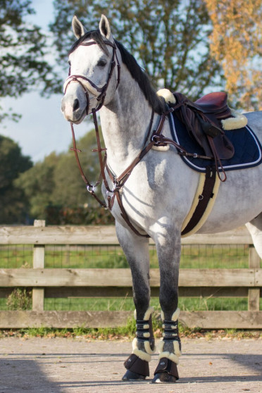 QHP Sheepskin Singel Bruin, Heerlijk zacht en zeer comfortabel voor je paard QHP Sheepskin Singel Bruin, Heerlijk zacht en zeer comfortabel voor je paard