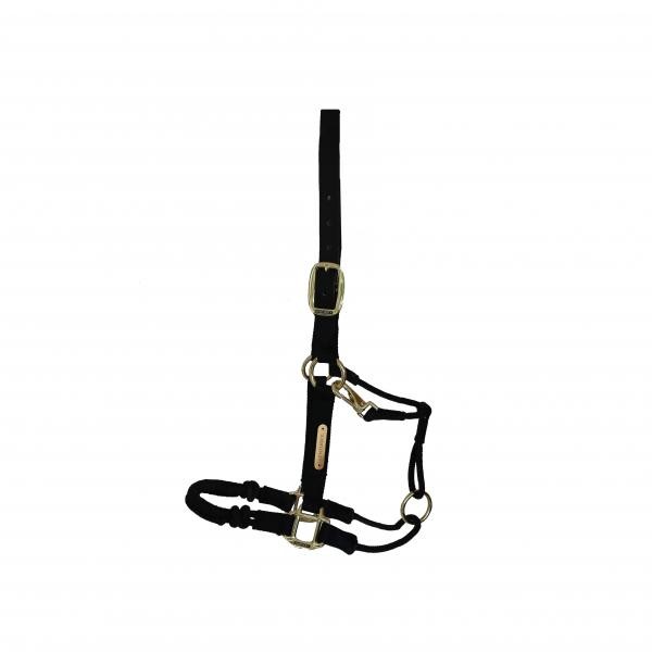 Kentucky Control Halster