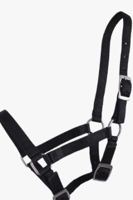 QHP Head Collar Foal Pink