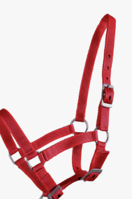 QHP Halster Veulen Rood