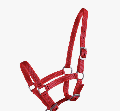 QHP Halster Veulen Rood QHP Halster Veulen Rood