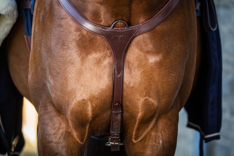 Dyon Long Bridge Breastplate 'New English Collection'