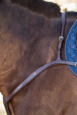 Dyon Long Bridge Breastplate 'New English Collection'