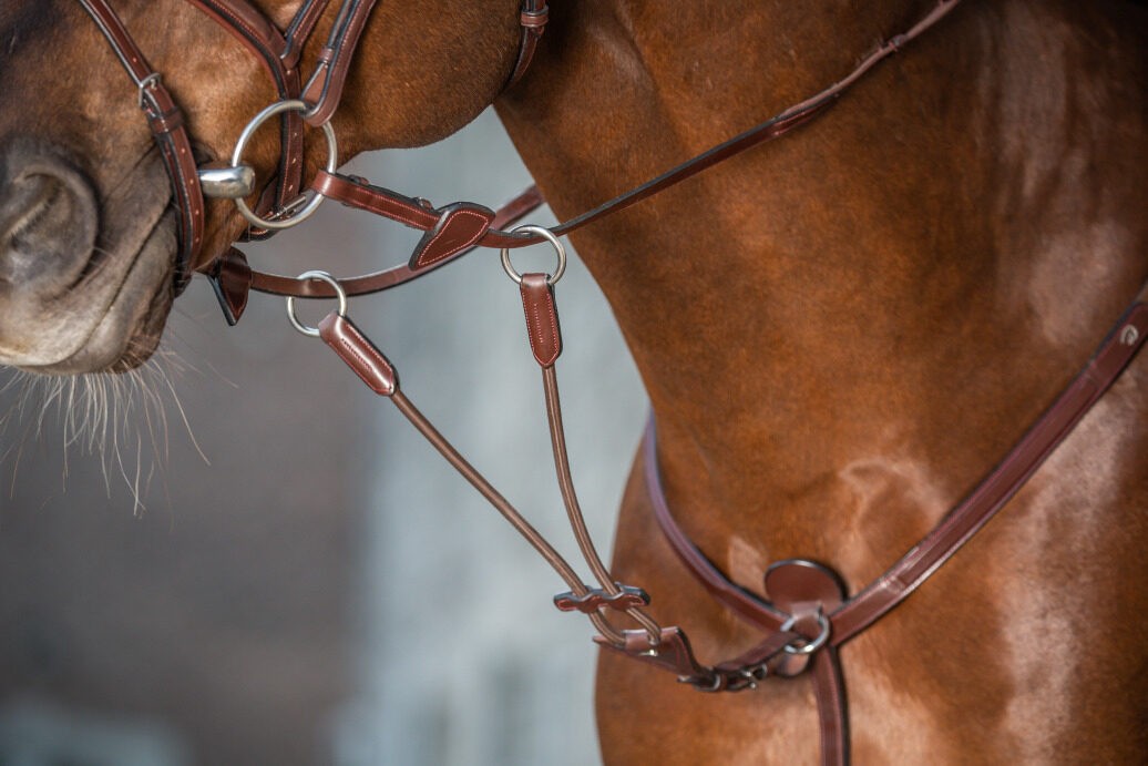 Dyon Elastic Running Martingale Attachment 'New English Collection' Dyon Elastic Running Martingale Attachment 'New English Collection'