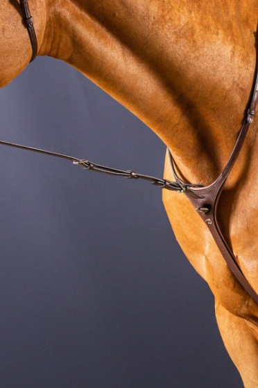 Dyon Standing Martingale Attachment 'New English Collection' Dyon Standing Martingale Attachment 'New English Collection'